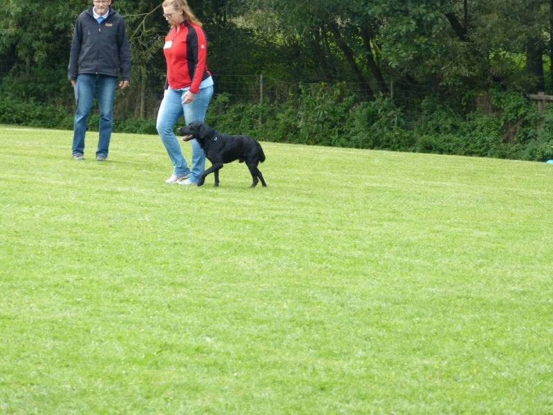 Obedience Prüfung 2015