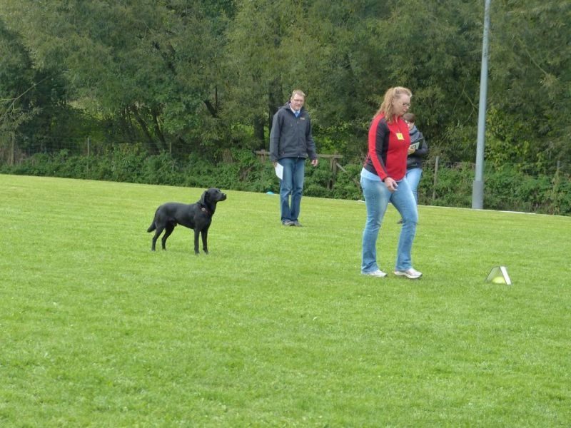 Obedience Prüfung 2015