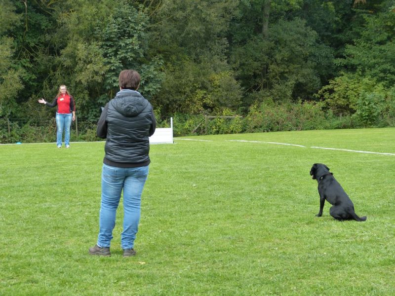 Obedience Prüfung 2015