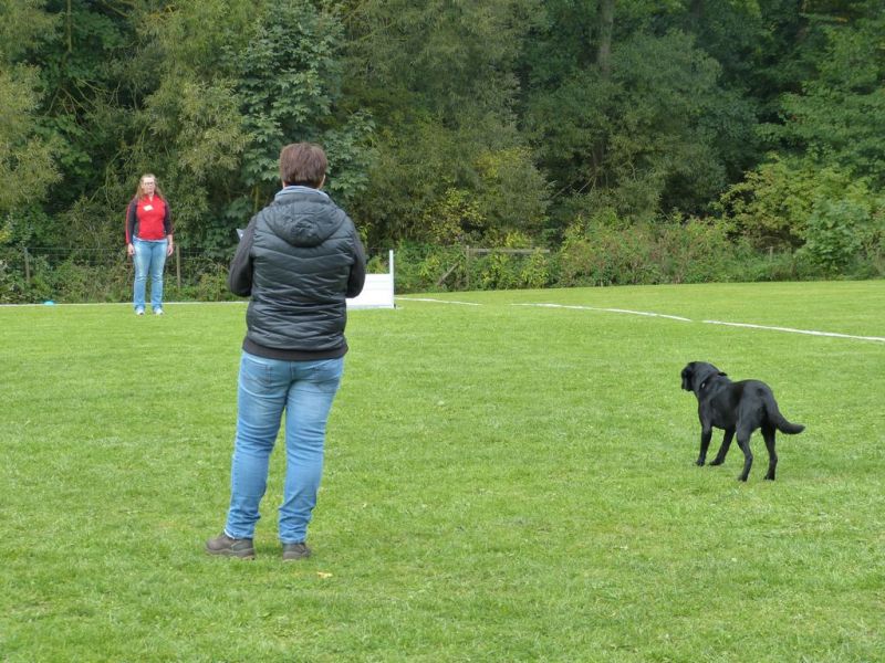 Obedience Prüfung 2015