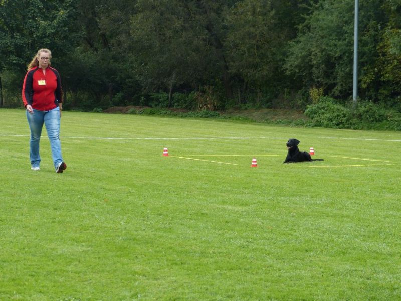Obedience Prüfung 2015