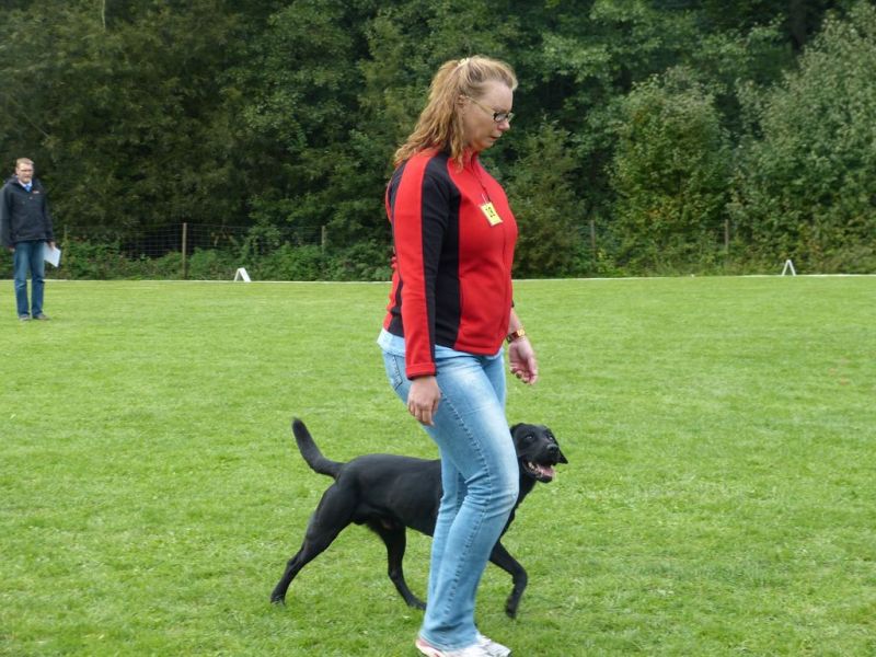 Obedience Prüfung 2015