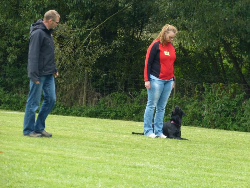 Obedience Prüfung 2015
