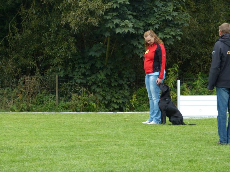 Obedience Prüfung 2015
