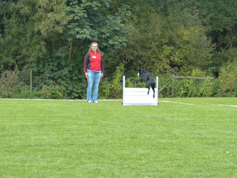 Obedience Prüfung 2015