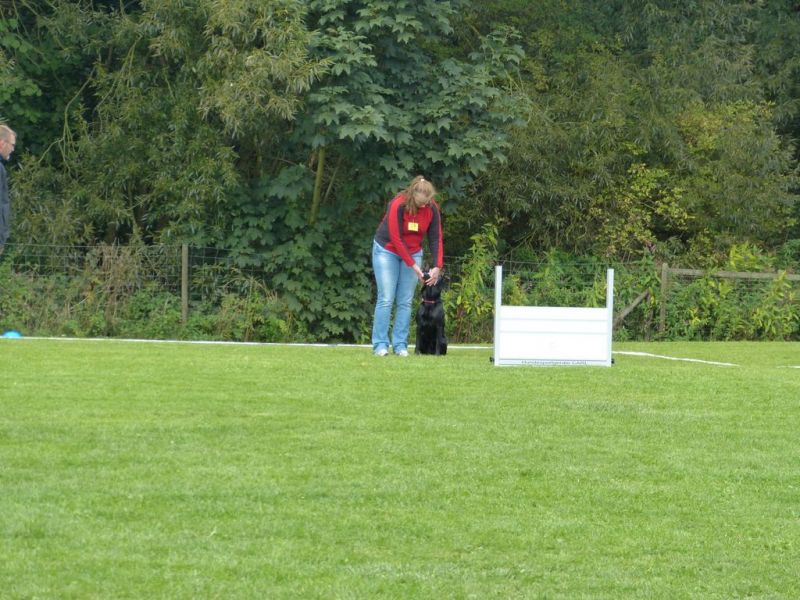 Obedience Prüfung 2015