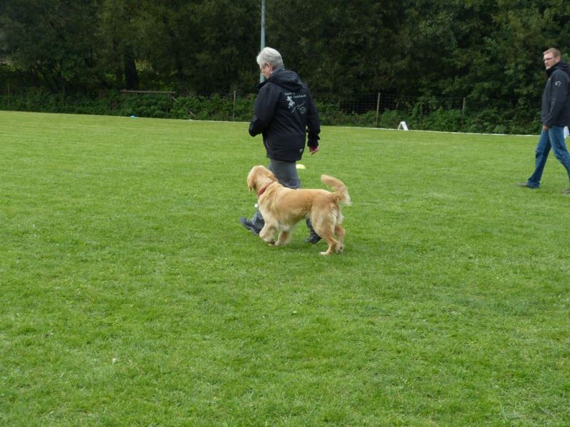 Obedience Prüfung 2015