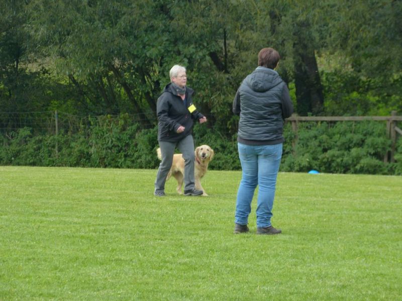 Obedience Prüfung 2015