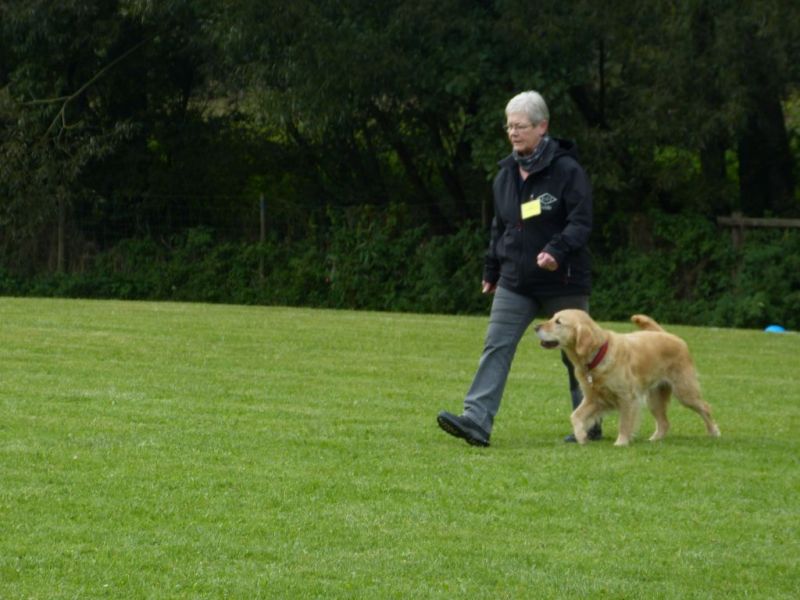 Obedience Prüfung 2015