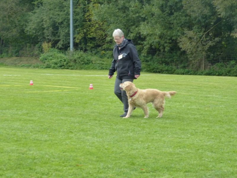 Obedience Prüfung 2015