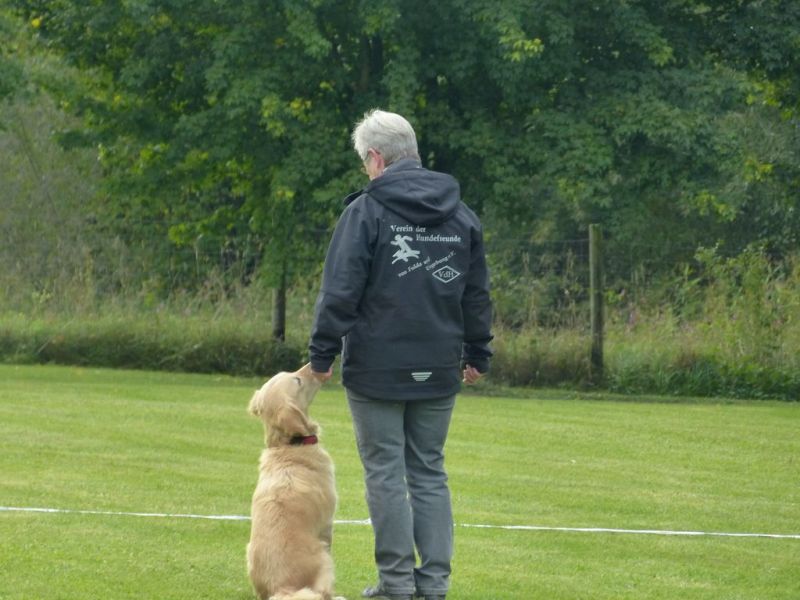 Obedience Prüfung 2015