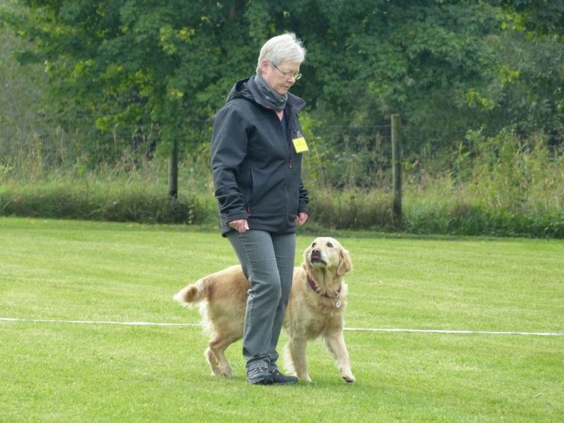 Obedience Prüfung 2015