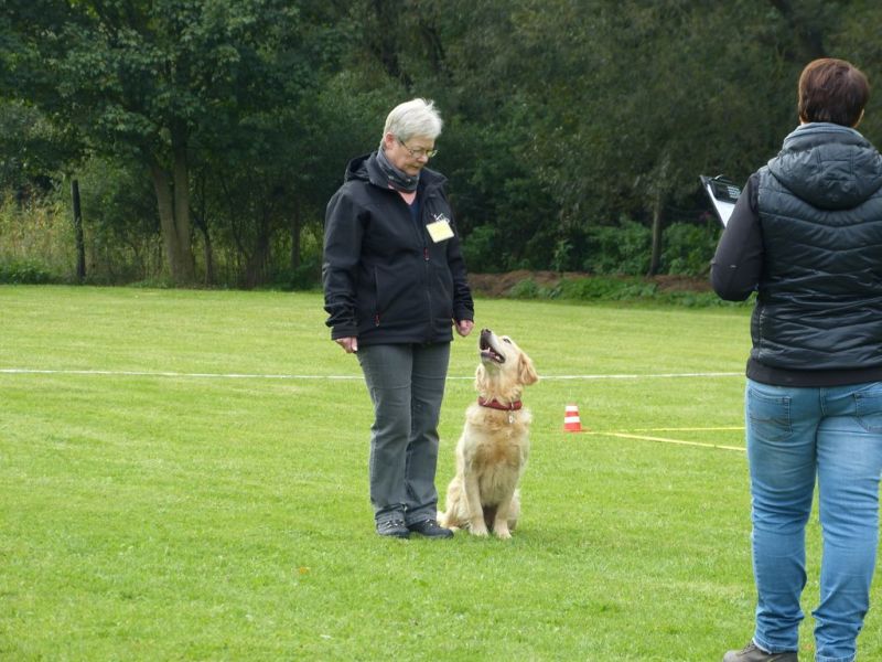 Obedience Prüfung 2015