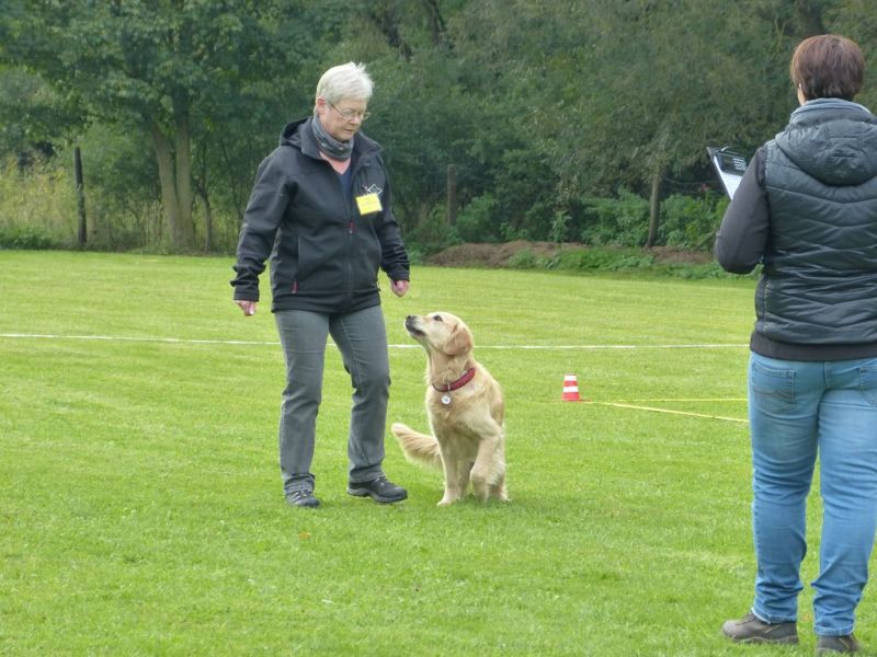 Obedience Prüfung 2015