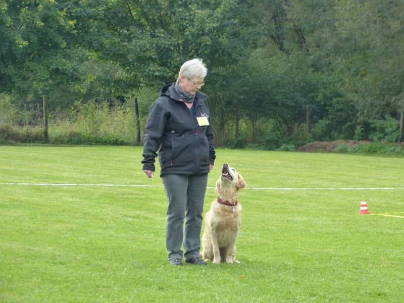 Obedience Prüfung 2015