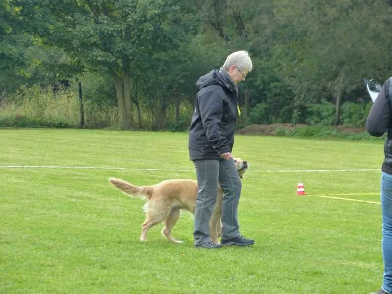 Obedience Prüfung 2015