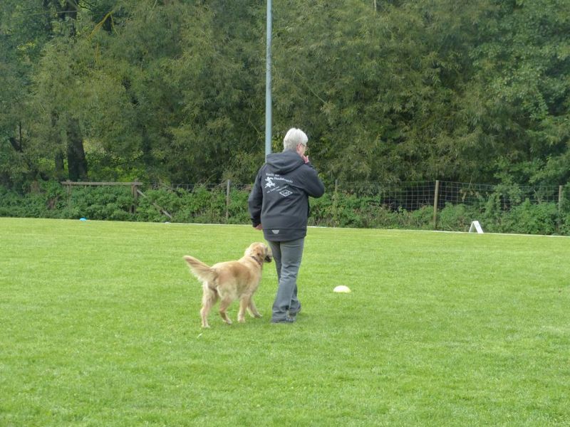 Obedience Prüfung 2015