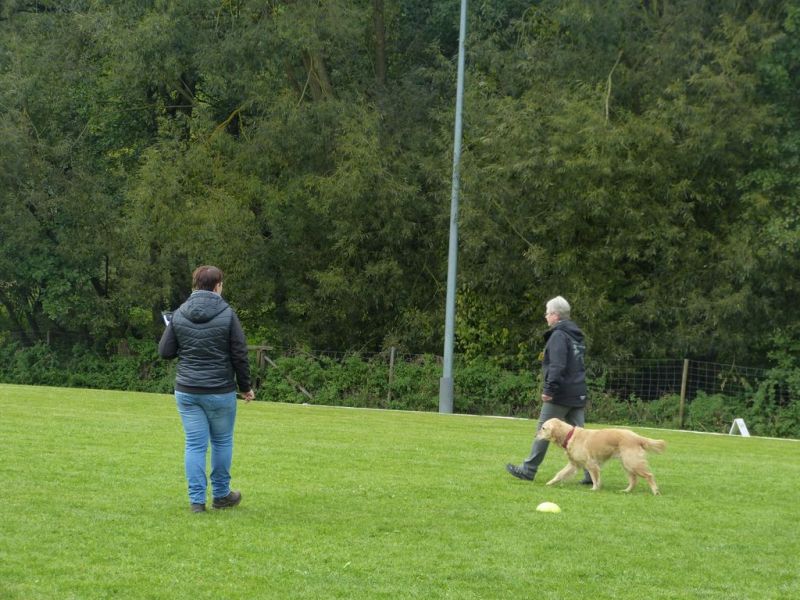 Obedience Prüfung 2015