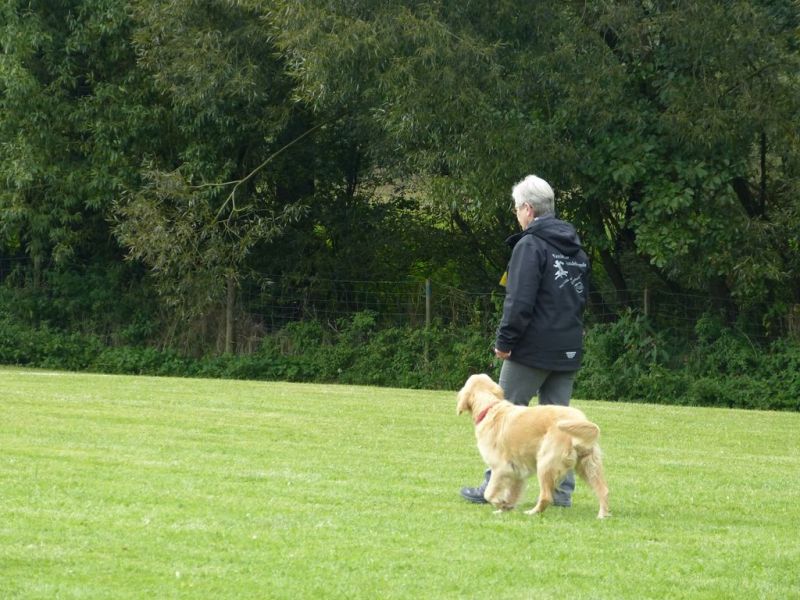 Obedience Prüfung 2015