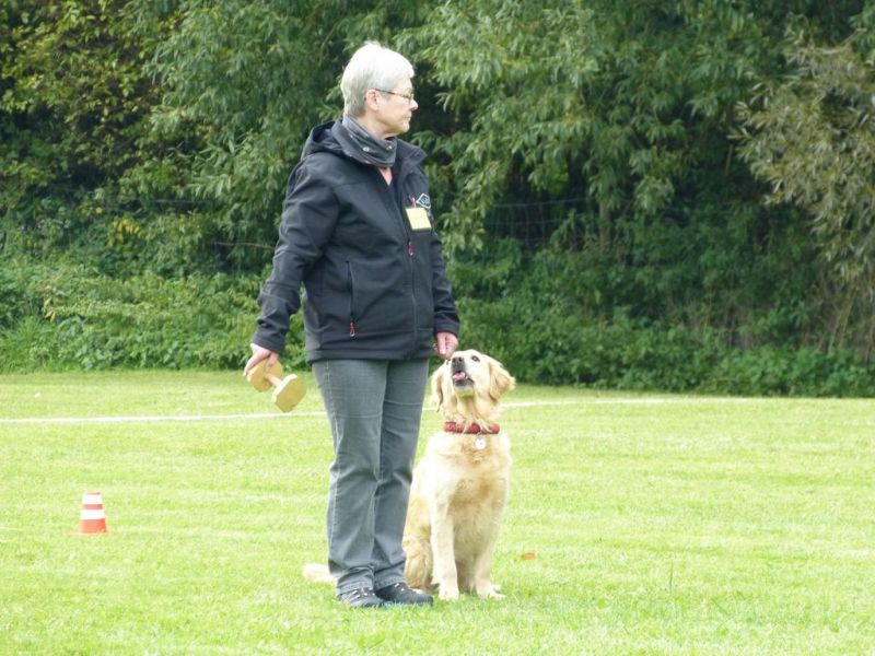 Obedience Prüfung 2015
