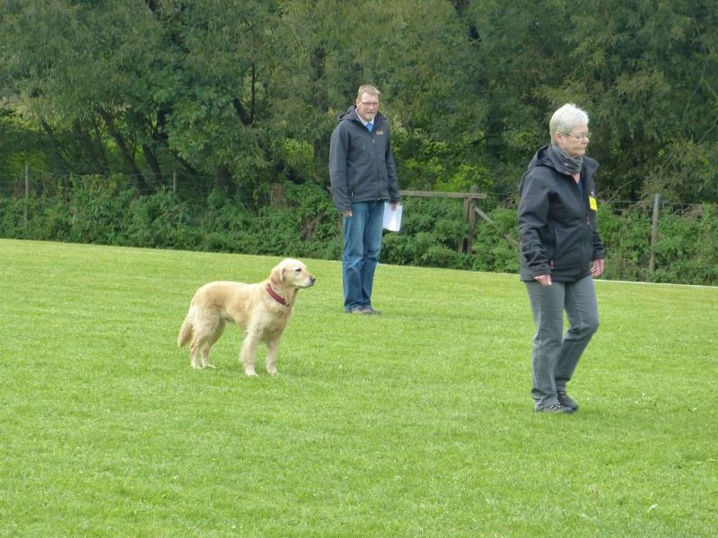 Obedience Prüfung 2015
