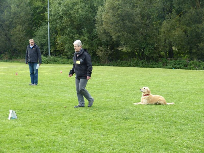 Obedience Prüfung 2015