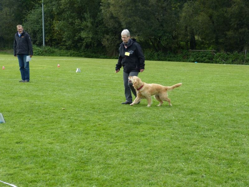 Obedience Prüfung 2015