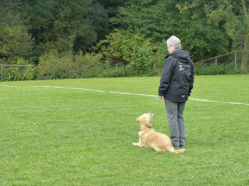 Obedience Prüfung 2015