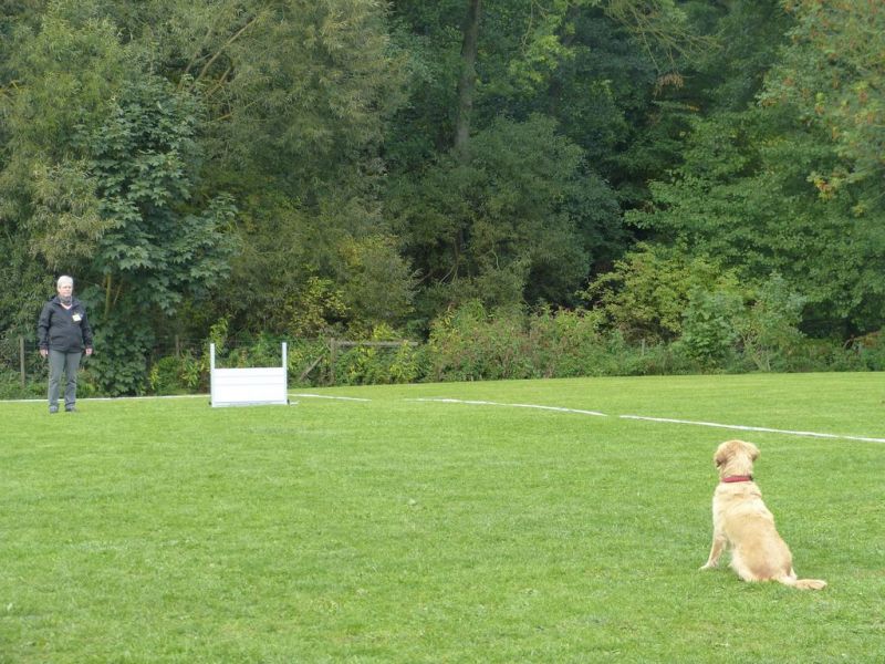 Obedience Prüfung 2015