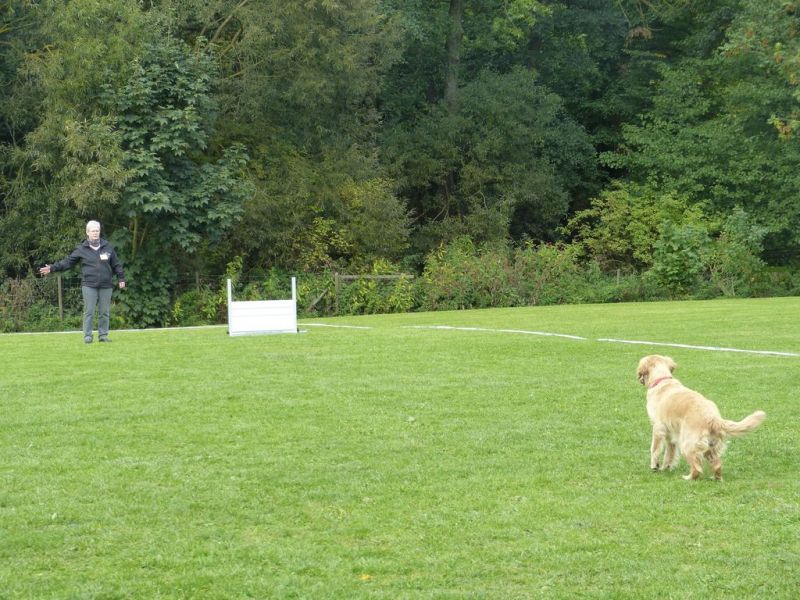 Obedience Prüfung 2015