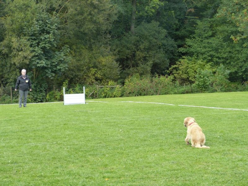 Obedience Prüfung 2015
