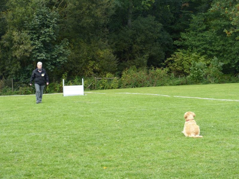 Obedience Prüfung 2015