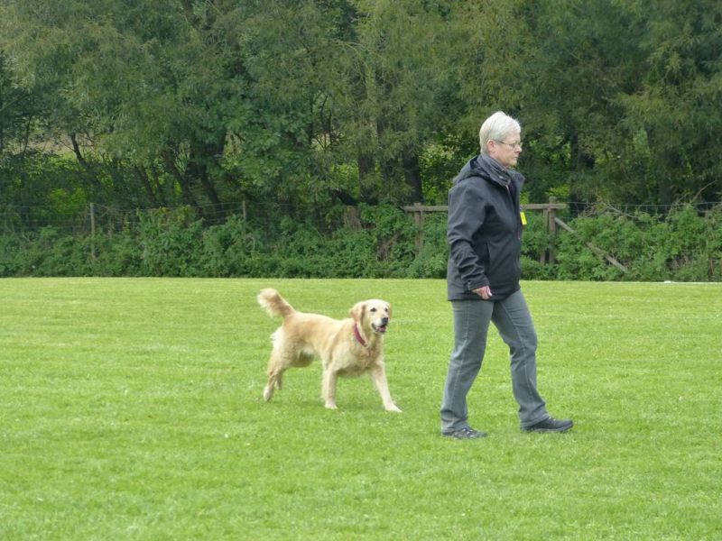Obedience Prüfung 2015