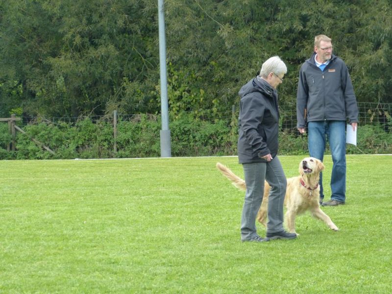 Obedience Prüfung 2015