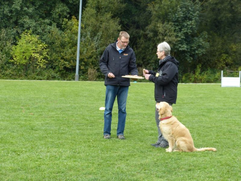 Obedience Prüfung 2015