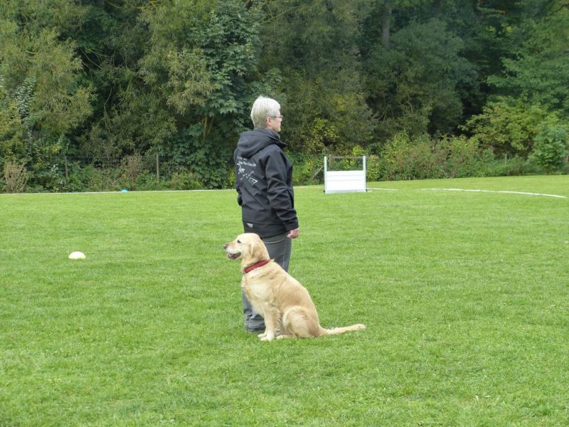 Obedience Prüfung 2015