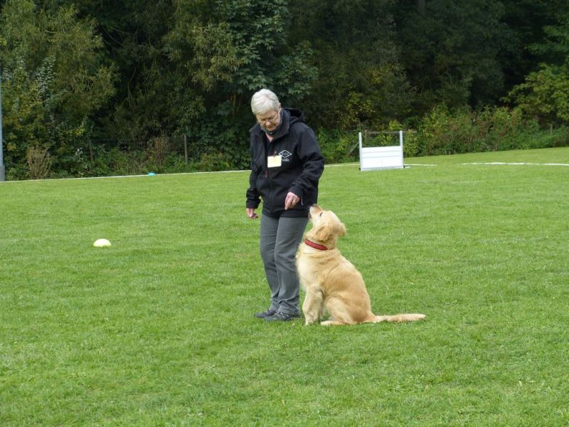 Obedience Prüfung 2015