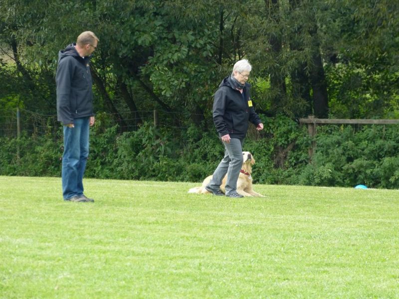 Obedience Prüfung 2015