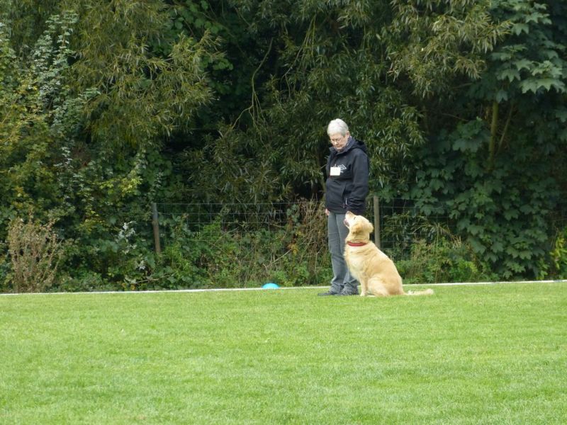 Obedience Prüfung 2015