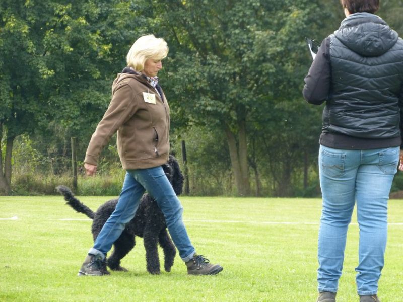 Obedience Prüfung 2015