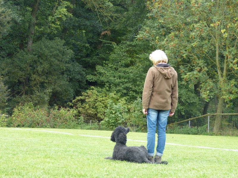 Obedience Prüfung 2015