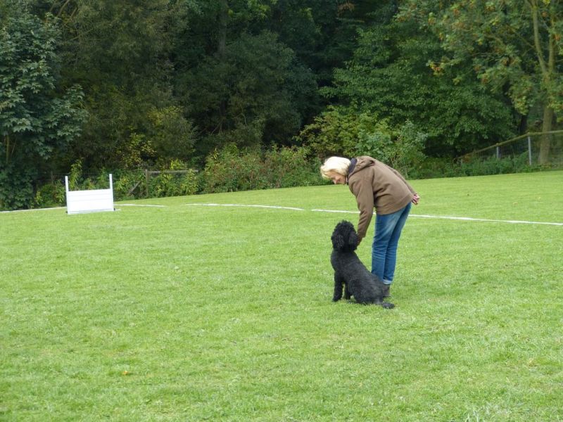 Obedience Prüfung 2015