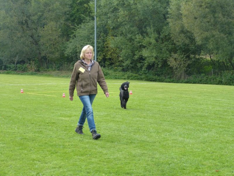 Obedience Prüfung 2015