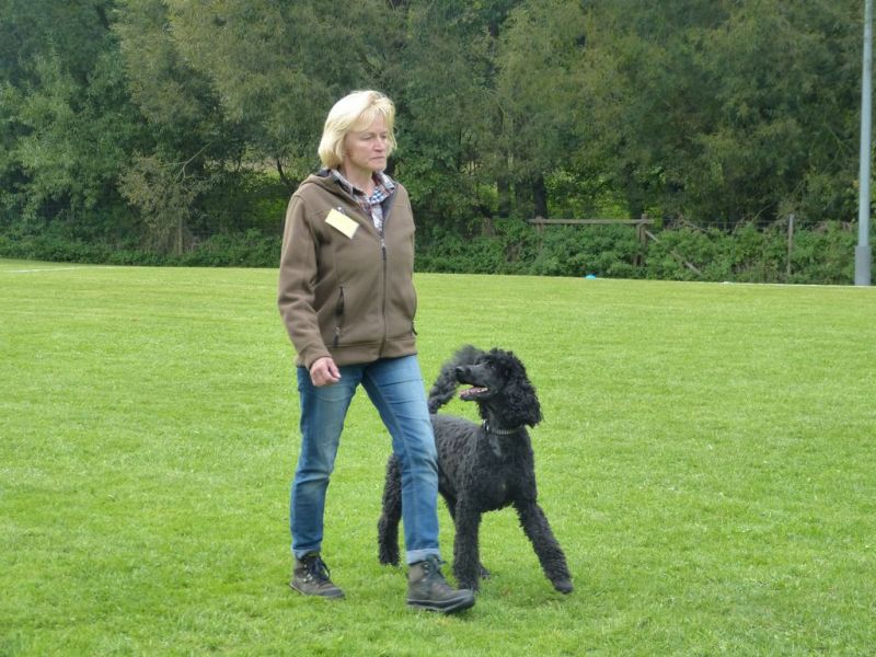 Obedience Prüfung 2015