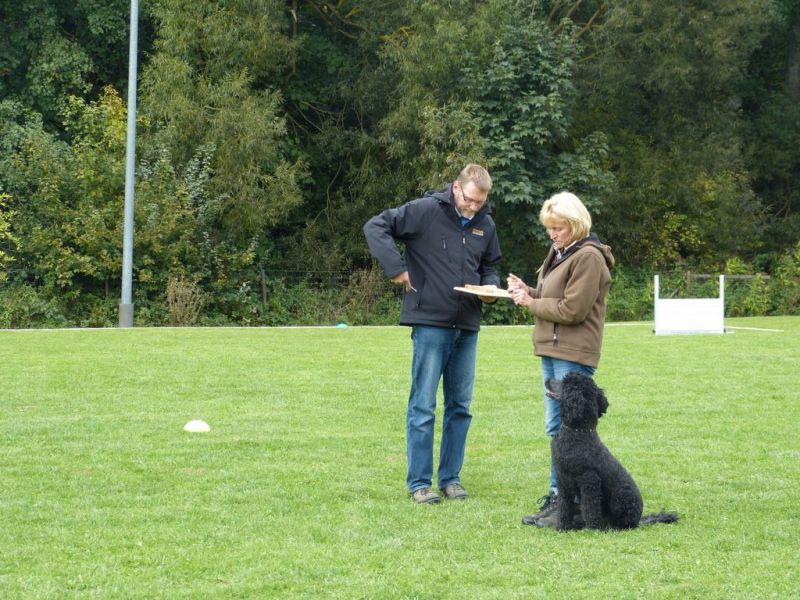 Obedience Prüfung 2015
