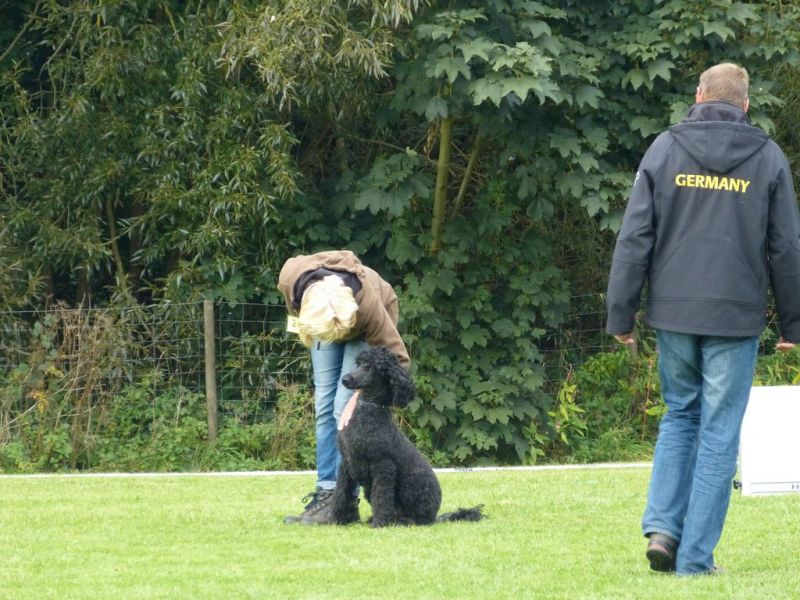 Obedience Prüfung 2015
