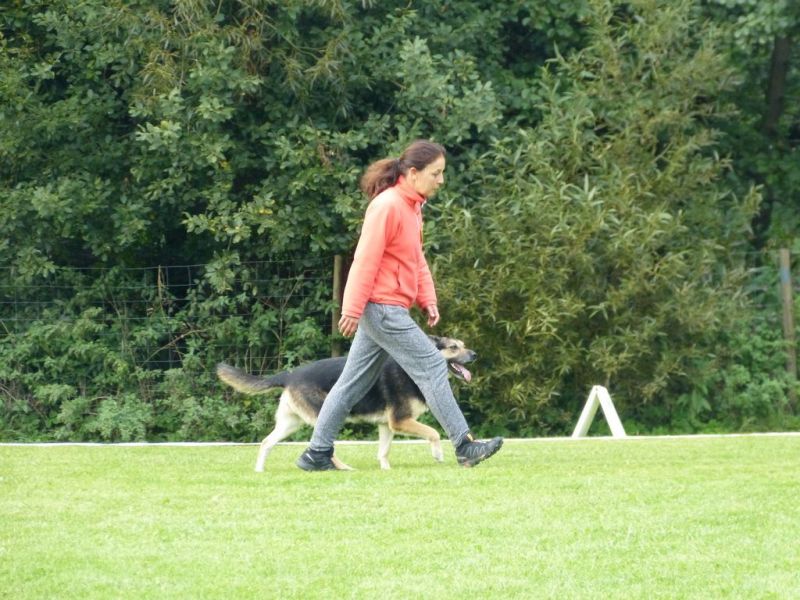 Obedience Prüfung 2015