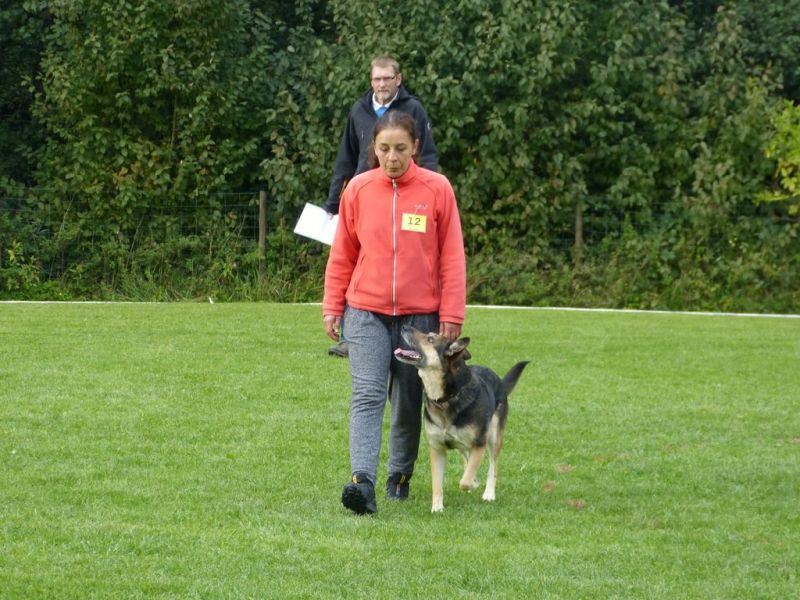 Obedience Prüfung 2015