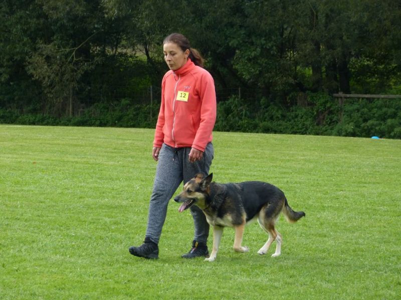 Obedience Prüfung 2015