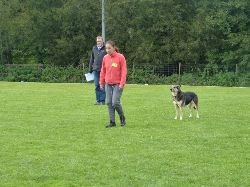 Obedience Prüfung 2015